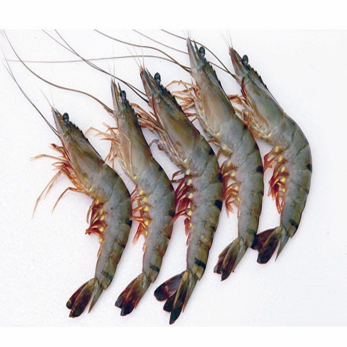 Buy Seafood Exporter Vannamei Shrimp Vannamei Price Frozen Shrimp from