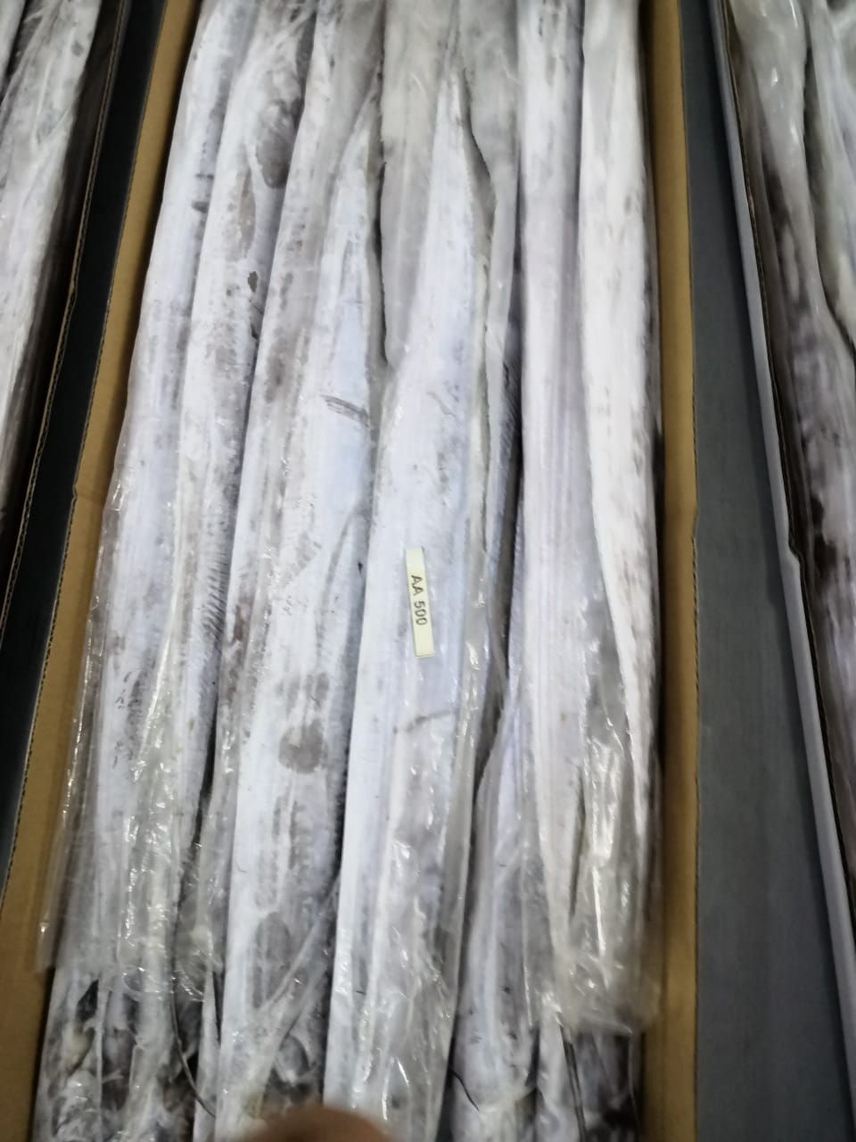 Buy Ribbon Fish from tropical Fresh n Frozen, USA | Tradewheel.com
