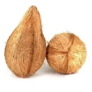 Buy Semi Husk Coconut from Cv Indonesian Natural Products, Indonesia