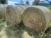 Best Quality Alfalfa Hay Including 22-24% Protein, 3×4 Pure Alfalfa Bales