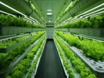 Container Farm Vertical Hydroponic System for Lettuce and Leafy Greens NFT Microgreen Growing Solution