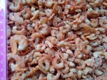 dried shrimp