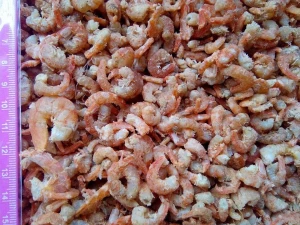 dried shrimp