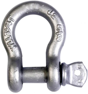 Quality G209 Forged Anchor Shackle in Best Discounts