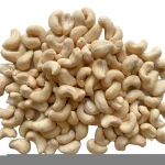 dried cashew nuts ,Raw Cashew nuts