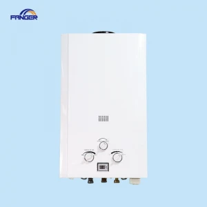 6L Flue Type Tankless Instant Gas Water Heater