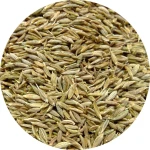 Factory Direct Supply High Quality Single Spices Seasoning Cumin Seeds Export