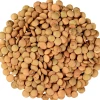 High Quality Organic Fresh Brown Lentils Best Material Dried Style Packaged in Manufacturer's Bags Wholesome Sale