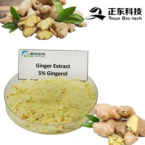Ginger Extract  | Rhizoma Zingiberis Recens Extract