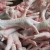 Import Buy Frozen Chicken Feet online from Brazil