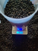 Black Pepper