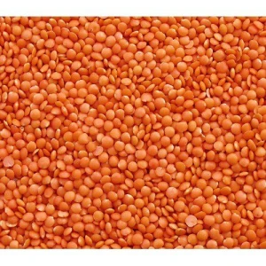 High Quality Green / Yellow / Red Split Lentils / Green Split Lentils / Lentils Beans for Sale