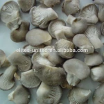 100% fresh mushroom material IQF frozen oyster mushroom price