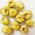 Import 100% Herbal Yellow Chrysanthemum Natural  Flower Tea from China