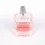 Import 100 ml Fancy cosmetic bottle Glass spray bottle Perfume bottles Can be printed logo from China