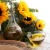 Import Premium Quality 100% Sunflower Cooking Oil From Ukraine from Austria