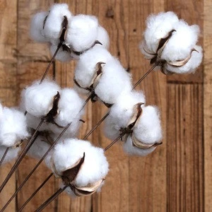 100% top Raw Cotton