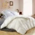 Import 10.5 tog down comforter from China