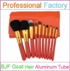 10pcs professional makeup set with perfect makeup brushes