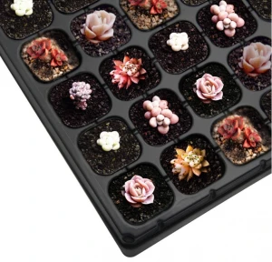128 holes seedling starter trays, greenhouse grows trays