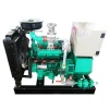 15 kw generator for Natural gasBiogasBiomass gascoal gas and so on
