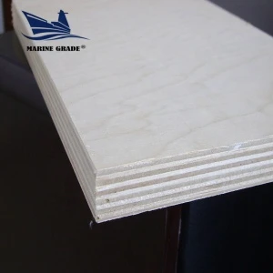 18mm laminated and smooth bamboo film faced plywood for building with high quality birch plywood