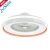 Import 1stshine trending products 2020 new arrivals bedroom decoration remote control AC motor ceiling led fan from China