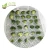 Import 20 Lbs IQF Broccoli Florets for Sale from China
