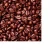 Import 2018 Final Harvest l products Arabica Coffee Beans from France