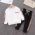 Import 2020 autumn new children wear kids solid clothing boys long-sleeved pants two-piece Korean baby boy clothes from China