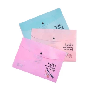 2020 Best Selling Custom Colorful A4 PP Plastic Envelope File Folder For Office Application