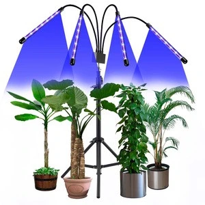 2020 tripod stand Plant Grow Lights,Fit for Indoor Plants with 4 Head Divided Adjustable Goose Neck Clip-On Desk, Red Blue Spect