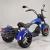 Import 2021 TOP Seller 1500W 2000W 3 wheel electric scooter bike with basket and golf bag holder from China