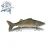 Import 230mm 119g New Design Hard Abs Plastic Lifelike Big Game Sea Fishing Simulation 4 Section Swim Bait For Seabass from China