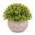 Import 3  Pcs Mini Potted Plants with  Small Artificial Succulents plants  For Decoration Office Home from China