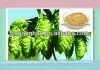 5%-10% Flavone Brown-yellow powder Hops Extract