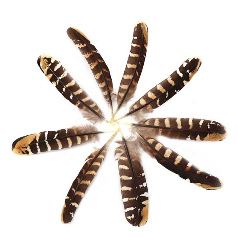 6-7.2 Inch(15-18 cm)High Quality Natural Patterned Pheasant Wings Feathers for Dream catcher and mural