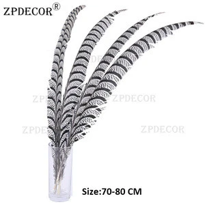 70-80 cm 50 PCS/Pack ZEBRA Lady Amherst Pheasant Tail Feathers for DIY Arts and Crafts