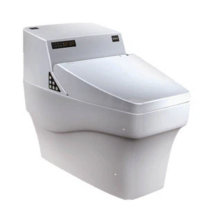 753D Intelligent Sanitary Ware Smart Toilet auto flushing toilet seat