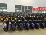 800w citicoco scooter 2 wheel self balancing handicap electric scooter