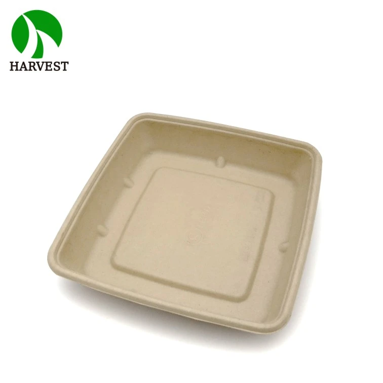 8x8 Square Biodegradable Take Away Compostable Disposable Pulp Food Box