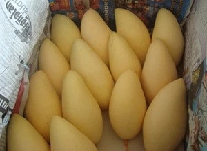 A Grade Quality Fresh mango From South Africa