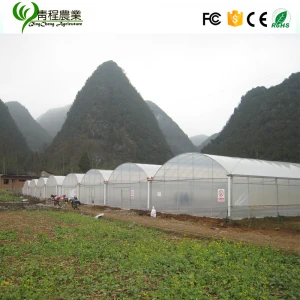 Agricultural Tools Multi-span Greenhouse Agricultural Protective Plastic Film Stable Structure Easily Assembled KINGSCHAN Clear