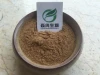 ajuga turkestanica extract powder  Ajuga Turkestanica Extract 10% Turkesterone