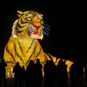 Amusement park decorated with tiger lantern