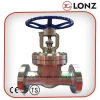 ANSI Stainless Steel Flanged Wedge Gate Valve