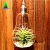 Import Artgragon new design Hanging Glass Vase, Decoration Succulents Vase Planter light bulb Shape Terrarium Container from China