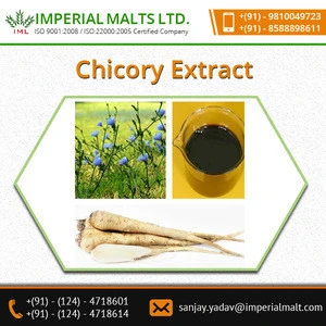 Being A Main Supplier And Best Producer Of Wide Range Of Chicory Extract And Organic Food