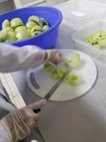 Best price and quality IQF frozen honeydew melon fruit  FROM VIETNAM