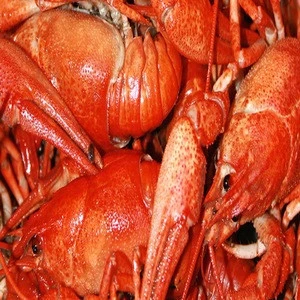 Best price Lobster